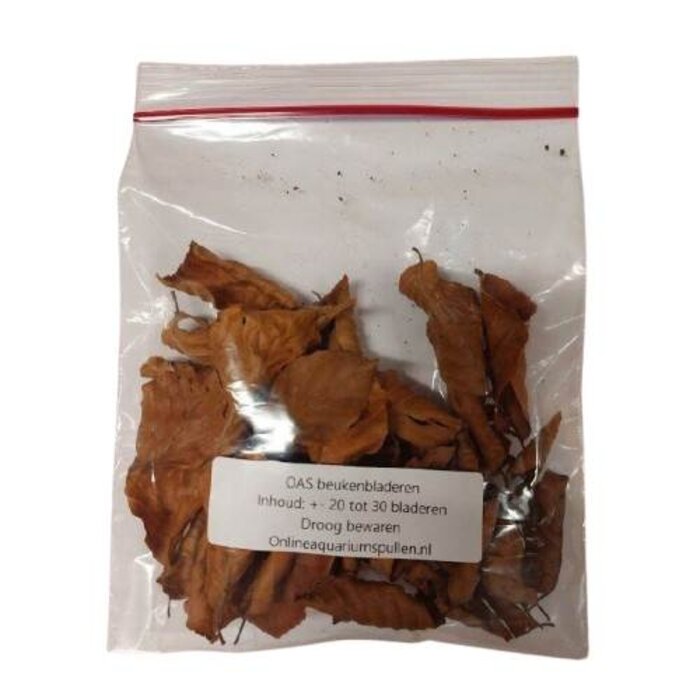 Onlineaquarium spullen Beech Leaves