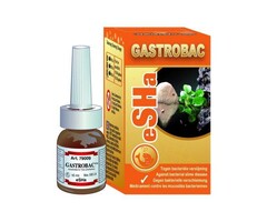 Esha Esha Gastrobac