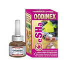 Esha Esha Oodinex