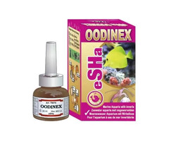 Esha Esha Oodinex