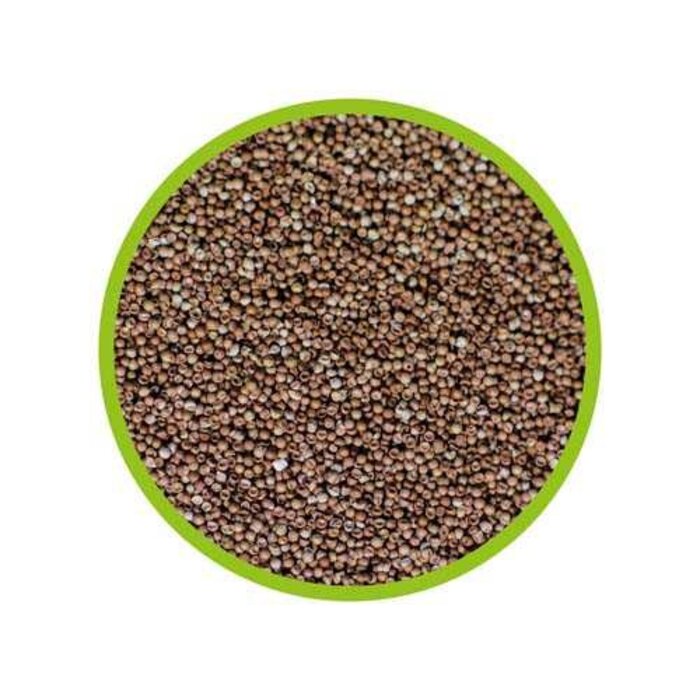 Hobby Hobby Artemia Eieren / Cysts 85%