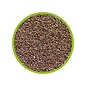Hobby Hobby Artemia Eiern / Cysts 85%