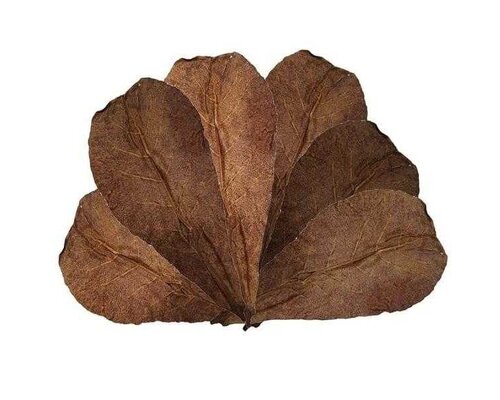 Natuurproducten in het aquarium