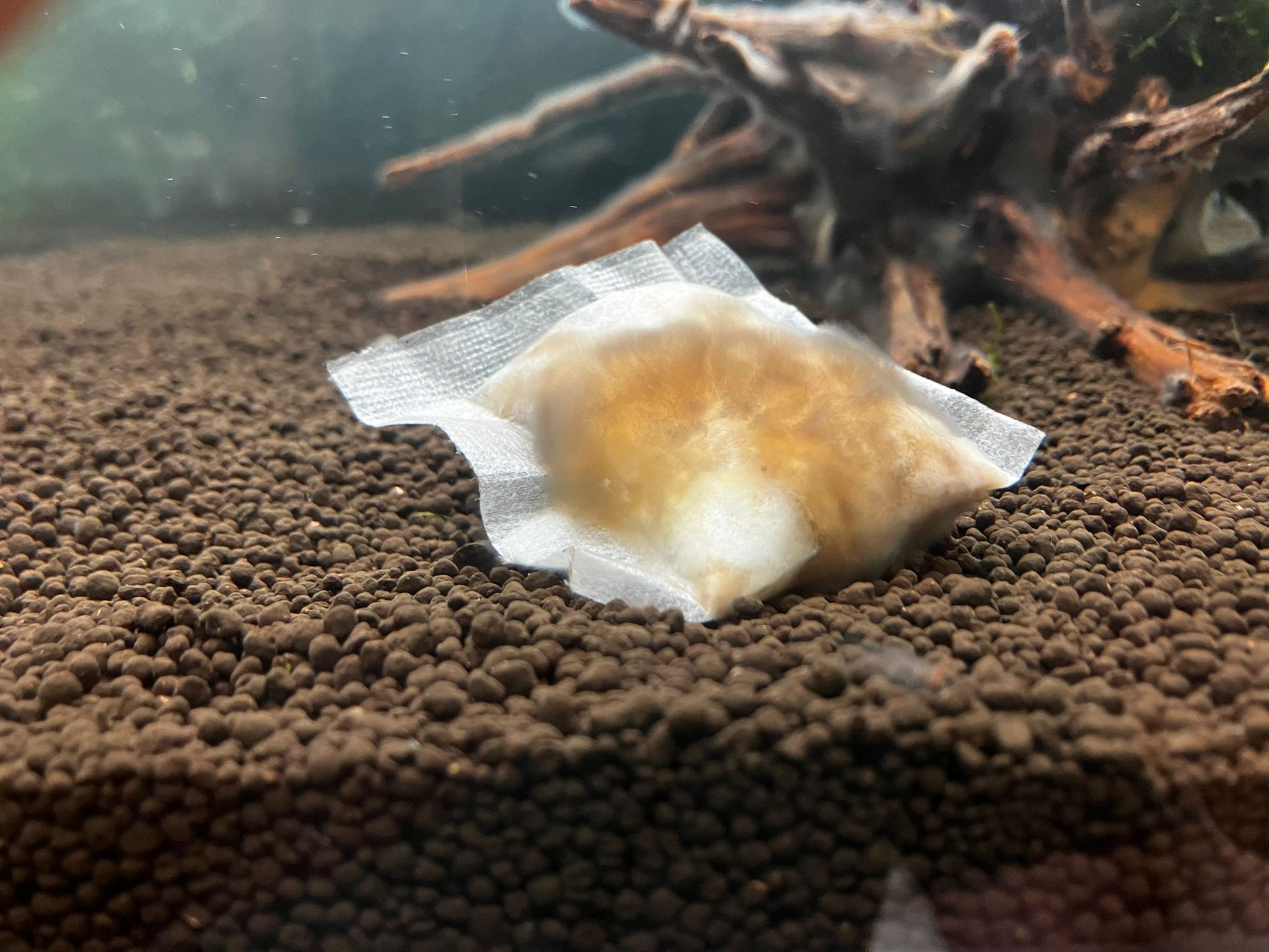 Kabadi aquatic Kabadi Bio Cloud Bacteria Bag