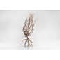 Onlineaquarium spullen Desert Tree