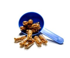 Plantedbox Planted Box Crypto