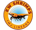 KW Shrimps