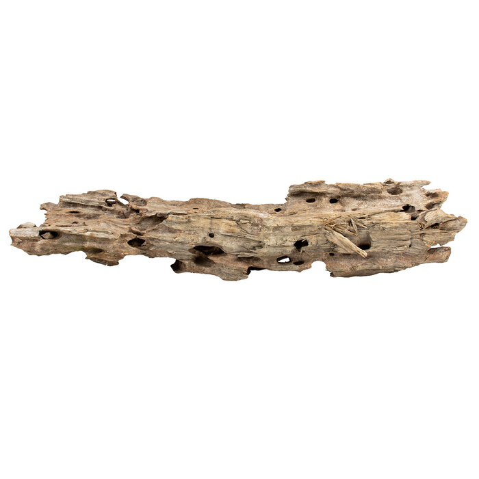 Aqua Della Honeycomb wood - aquarium wood