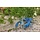 Blauwe Florida kreeft