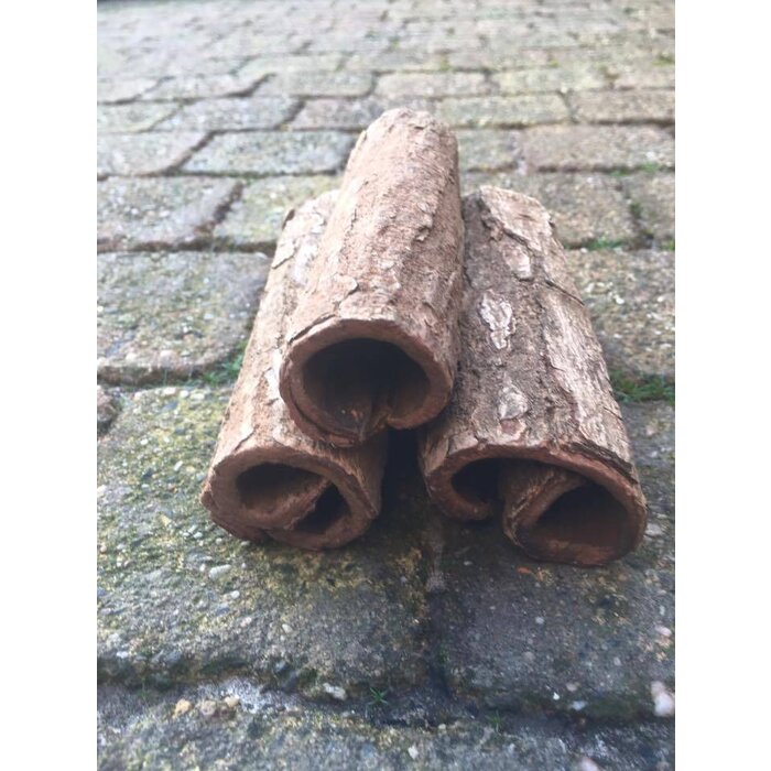 Onlineaquarium spullen Catappa bark rund budget