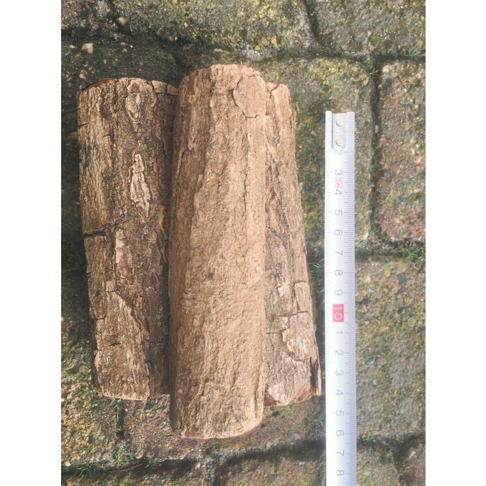 Onlineaquarium spullen Catappa bark rund budget