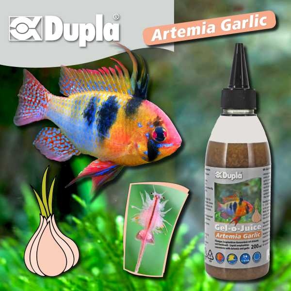 Dupla Dupla Gel-o-Juice Artemia+Garlic