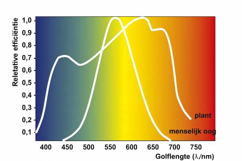 Aquarium LED Verlichting: lichtspectrum voor mens en plant