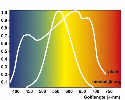 De Complete Gids voor het Kiezen van Aquarium LED Verlichting: PAR, PPFD, Lumen en Kelvin
