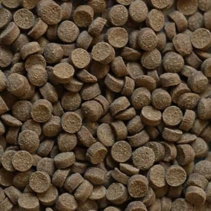 Dupla Dupla Rin Srimp Snack - Copy