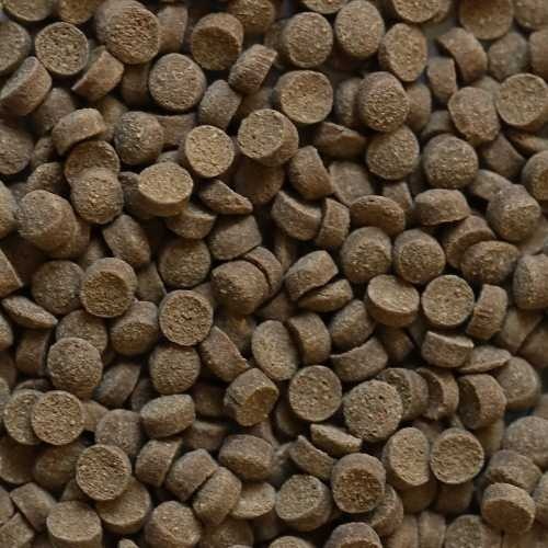 Dupla Dupla Rin Srimp Snack - Copy