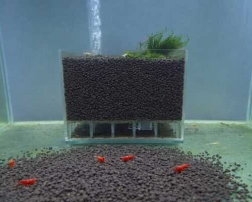 De UGF Box: De slimme oplossing voor garnalenkwekers