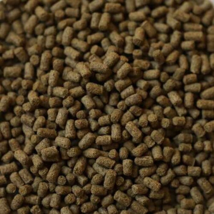 Dupla Dupla Rin Axolotl Snack