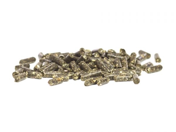 GlasGarten GlasGarten dandelion sticks