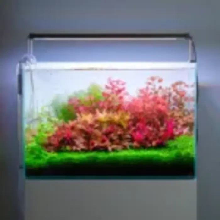 Twinstar Twinstar S-line V 1200S