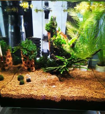 Akadama bodembedekker aquarium