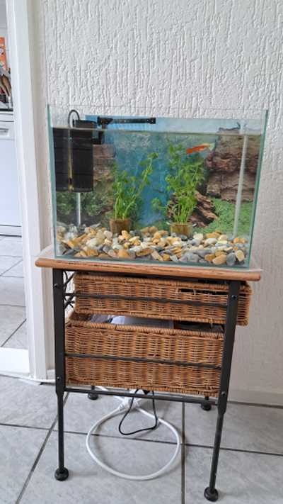 Superfish Aquaflow 50