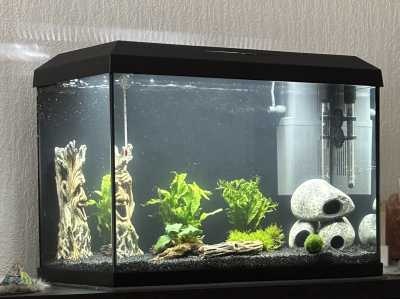 Aqua Della Aquarium Grind Zwart