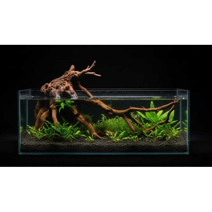 BLAU aquaristic BLAU nano cubic aquascaping 44L shallow