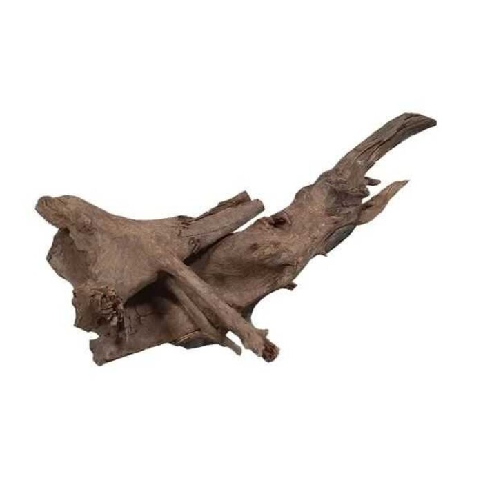 hs aqua Zambia Wood S 10-20 cm