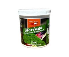 Shrimps forever Shrimps forever moringa