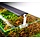 Chihiros A2 LED - 90cm - retour
