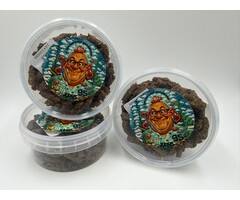 Onlineaquarium spullen Jurn's Wolke