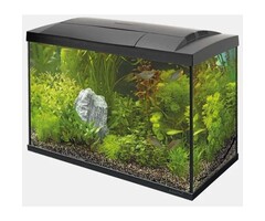 SuperFish SuperFish Start 70 Tropical Kit Black