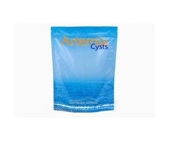 Artemia Koral Artemia cysts +80% 550 Gr