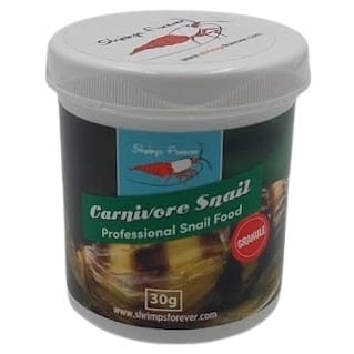 Shrimps forever Shrimps Forever Carnivore Snail - 01-2027