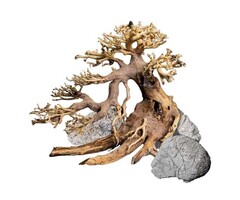 Dennerle Dennerle Decor Bonsai Box