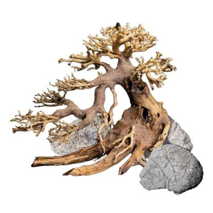 Dennerle Dennerle Decor Bonsai Box