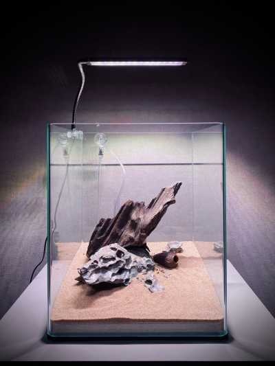 Dragon stone gebruikt in aquascape