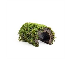 Fish house with Java moss