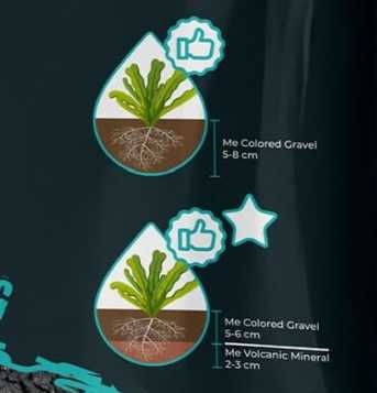 Substrate setup with Me Aquaristic Volcanic Mineral Rock with or without an additional layer