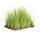 Needle Grass on Stainless Steel Mat 10 x 15 cm