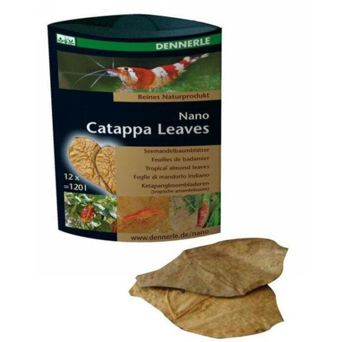 Dennerle Dennerle nano catappa leaves