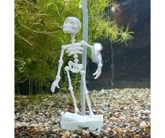Onlineaquarium spullen Dansend skelet