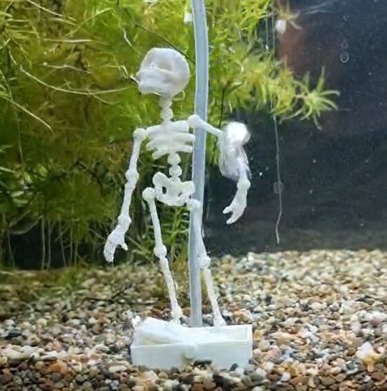 Onlineaquarium spullen Dancing Skeleton