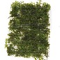 Tropica Coral moss on mat