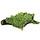 Coral moss on mat