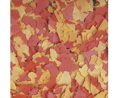 Onlineaquarium spullen Flake feed protein