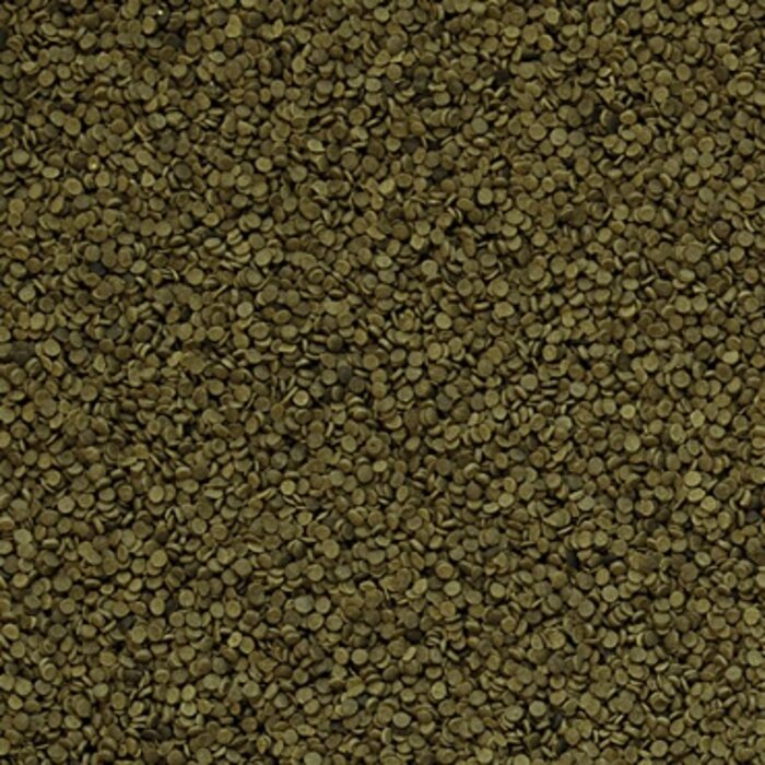 Onlineaquarium spullen Spirulina granulat