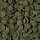 Algae wafers