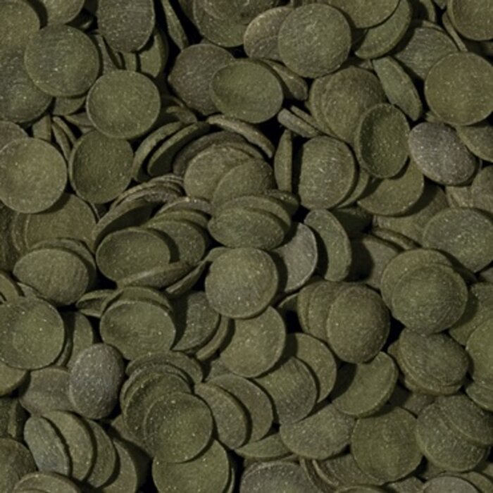 Onlineaquarium spullen Algae wafers